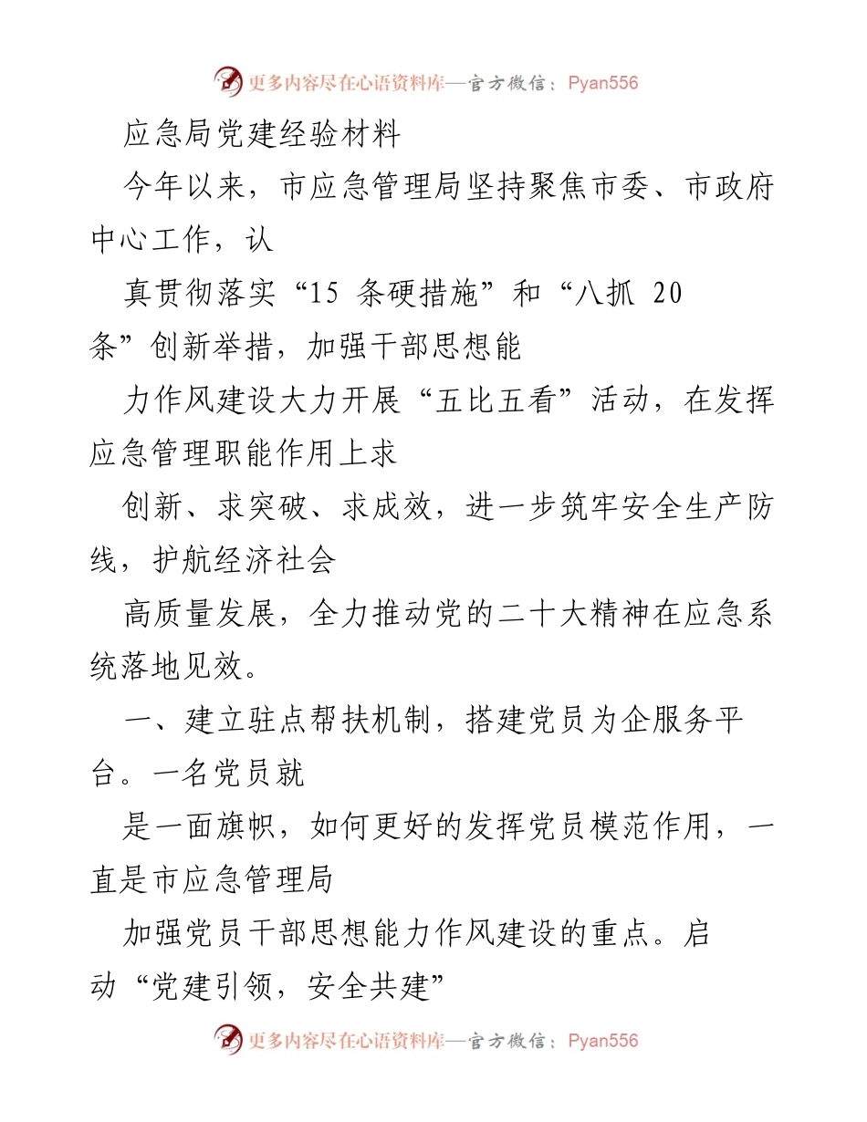 [工作总结] 市应急管理局 - 加强党建引领，推动安全生产与经济高质量发展.docx_第1页