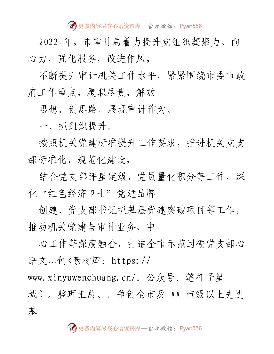 [工作总结] 市审计局 - 提升党组织凝聚力与审计工作水平的综合措施总结.docx_第1页