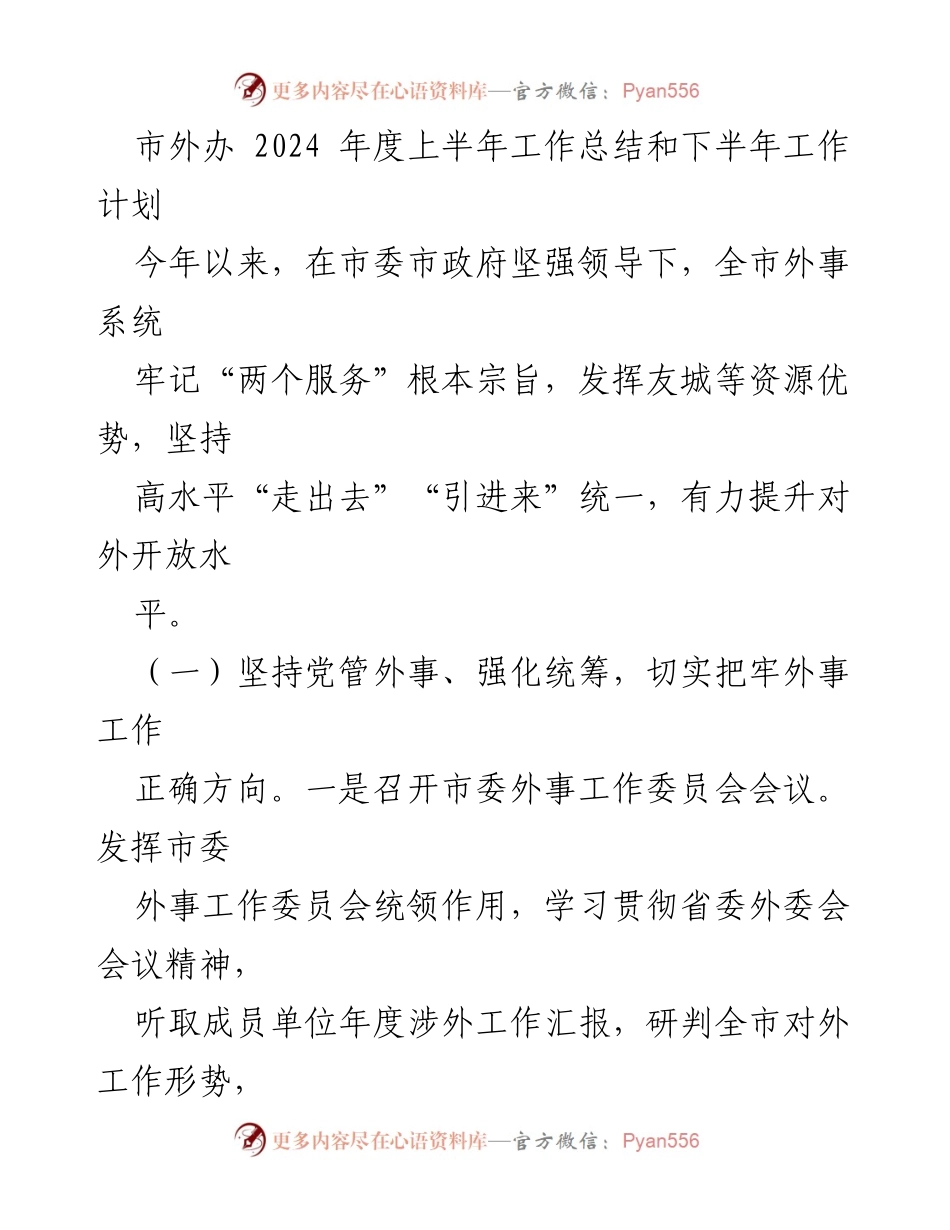 [工作总结] 市外办 - 2024年度上半年工作总结与下半年工作计划.docx_第1页