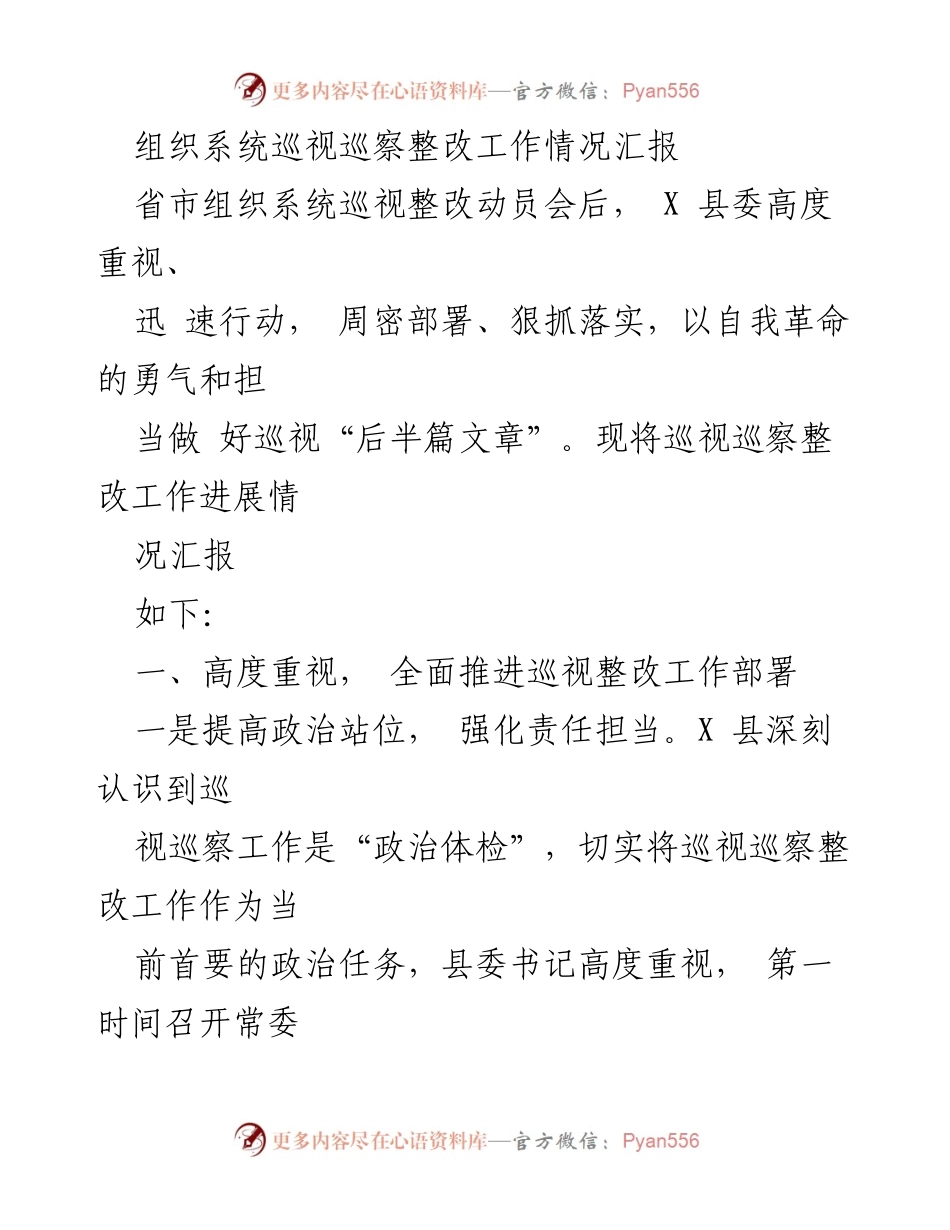 [工作总结] 巡视整改动员会 - X 县巡视巡察整改工作情况汇报.docx_第1页