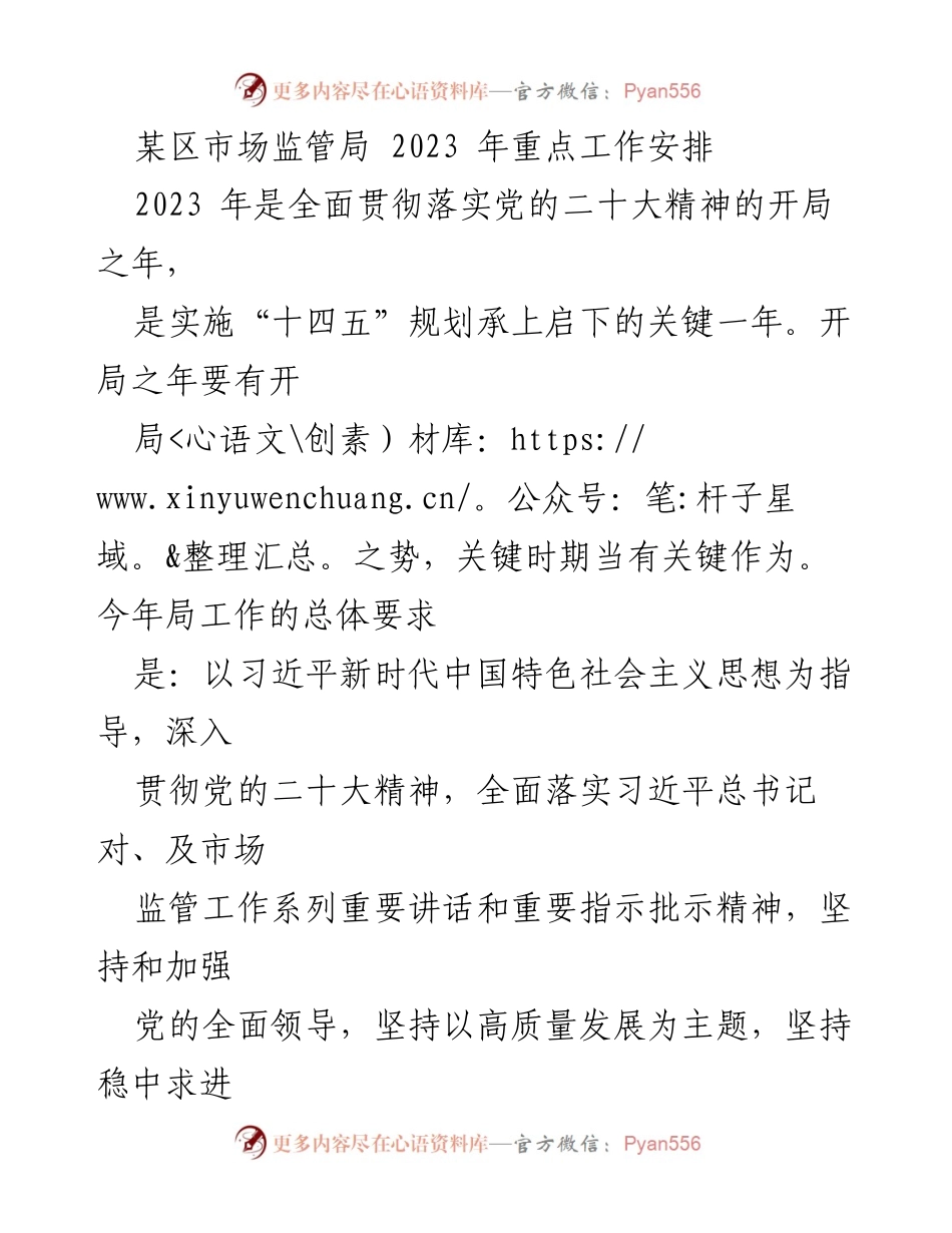 [工作总结] 市场监管局 - 2023 年市场监管局重点工作安排与实施计划.docx_第1页