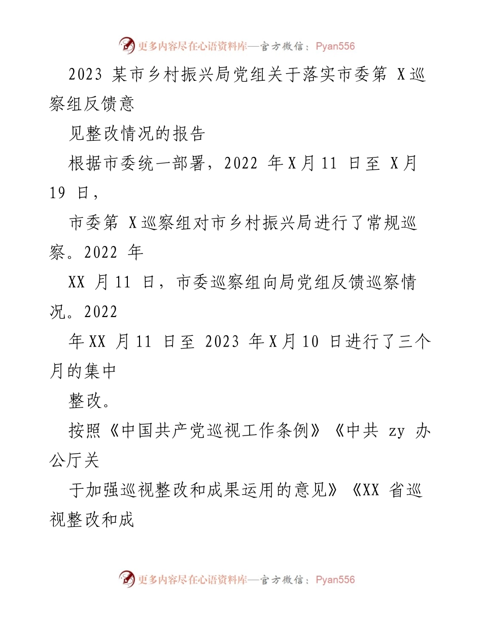 [工作总结] 巡察整改 - 2023年某市乡村振兴局巡察整改情况报告.docx_第1页