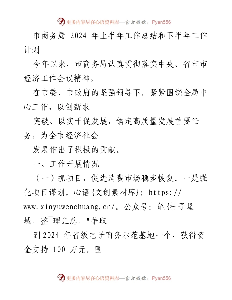 [工作总结] 市商务局 - 2024年上半年工作总结与下半年工作计划.docx_第1页