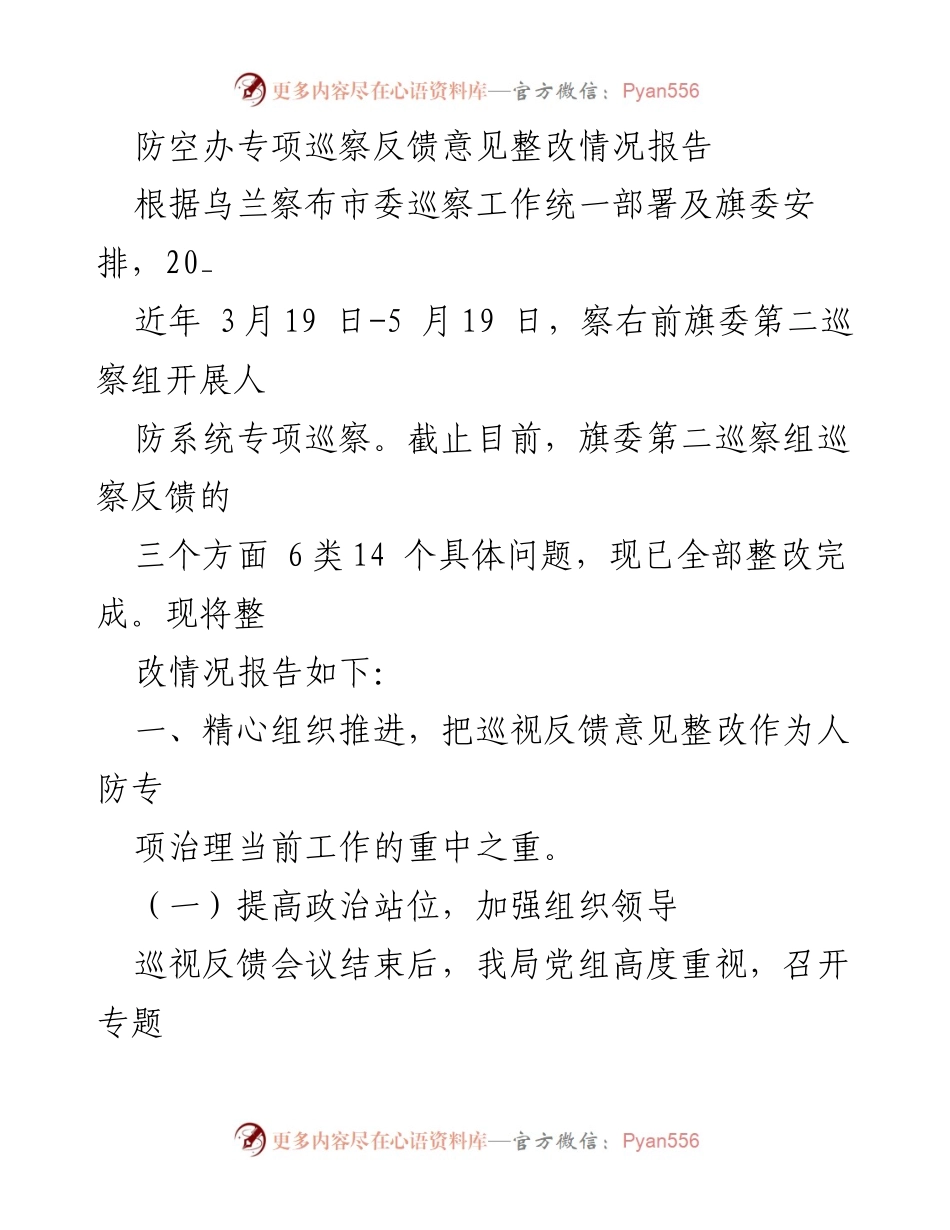 [工作总结] 巡察整改 - 防空办专项巡察反馈意见整改情况报告.docx_第1页