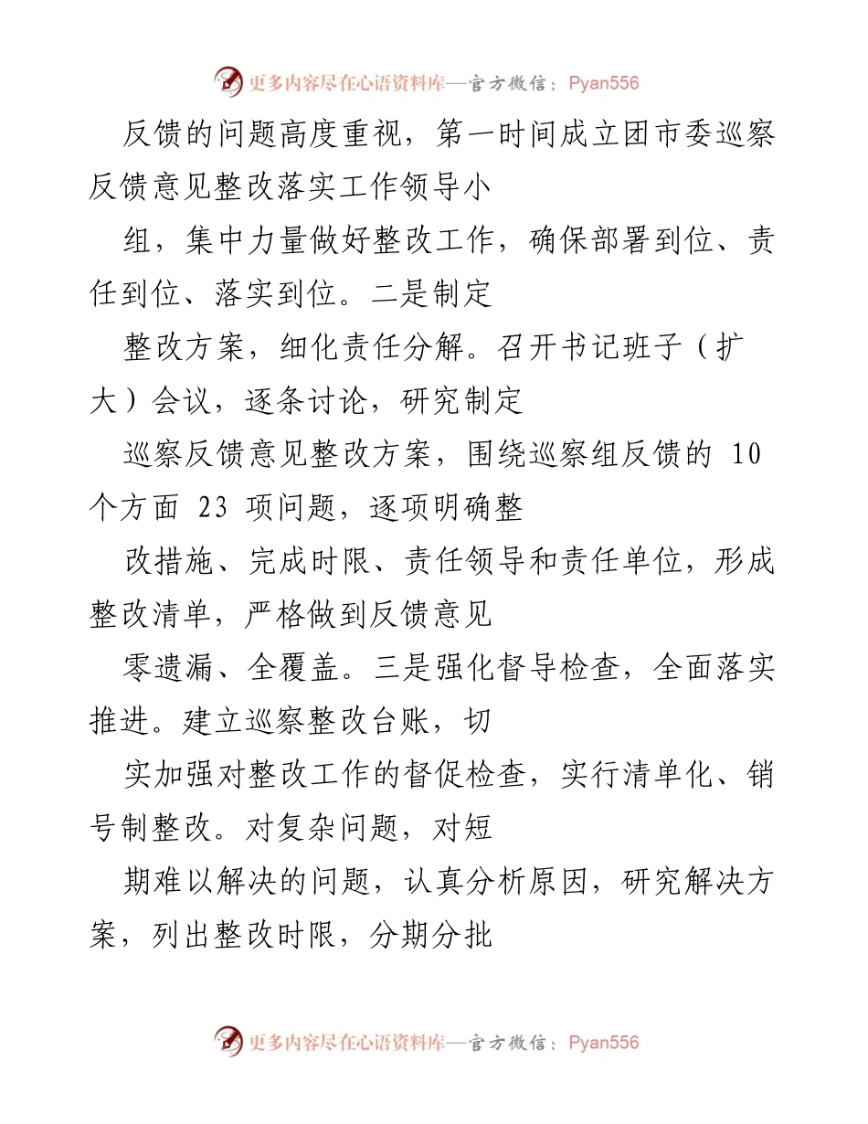 [工作总结] 巡察整改 - 团市委巡察整改进展情况报告.docx_第2页