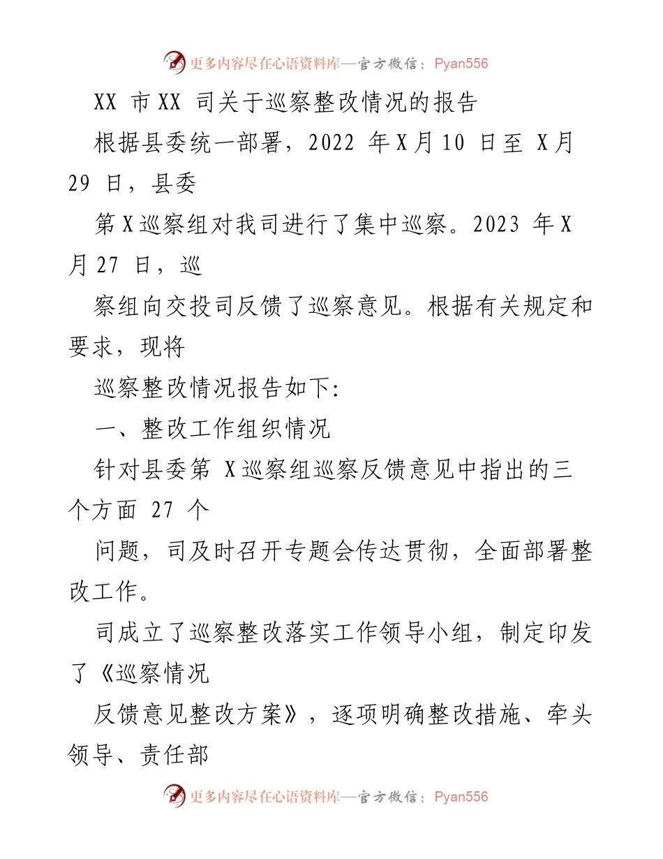 [工作总结] 巡察整改 - XX市XX司巡察整改情况报告.docx_第1页