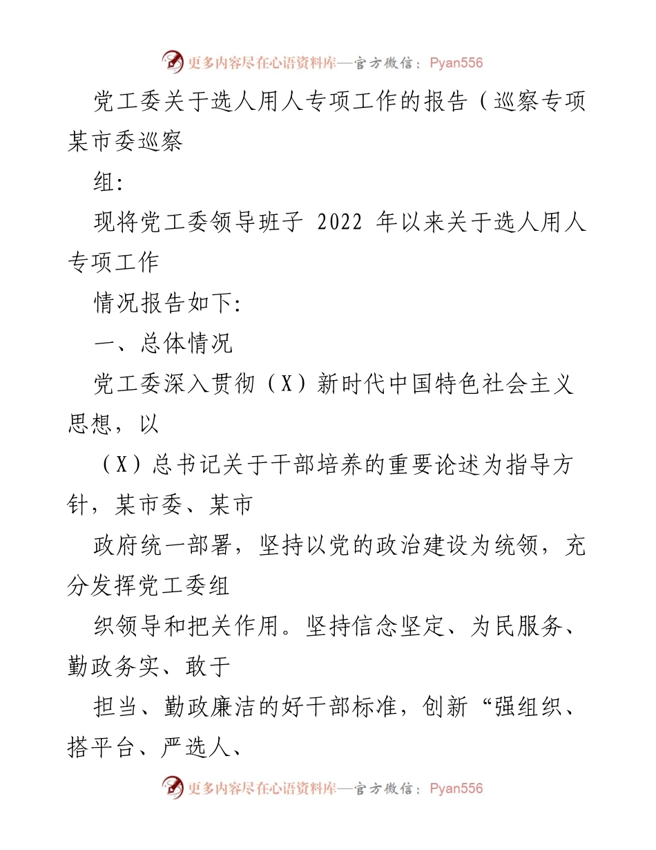 [工作总结] 巡察专项 - 党工委选人用人专项工作情况报告.docx_第1页