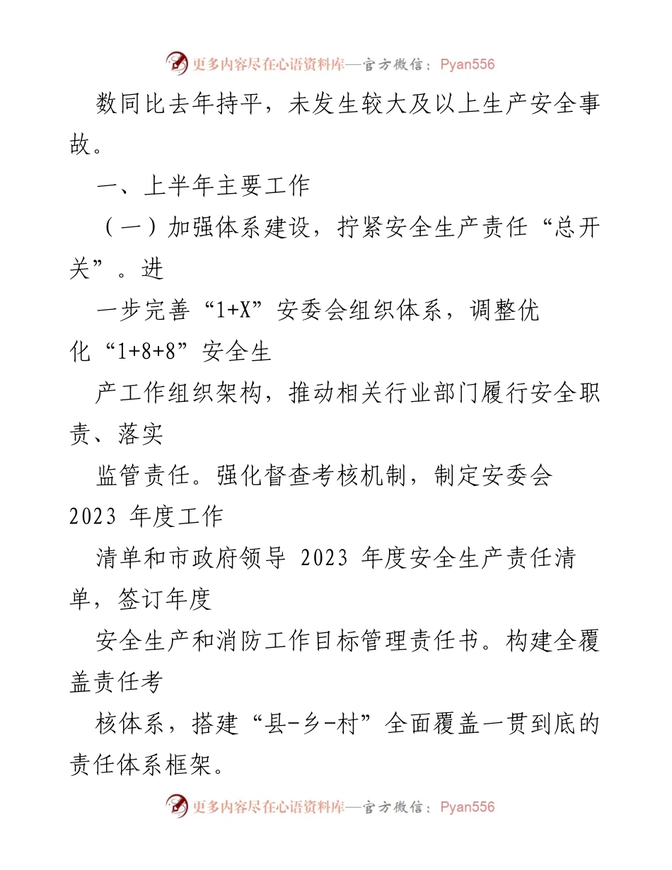 [工作总结] 市应急管理局 - 2023年上半年安全生产工作总结及下半年工作思路.docx_第2页