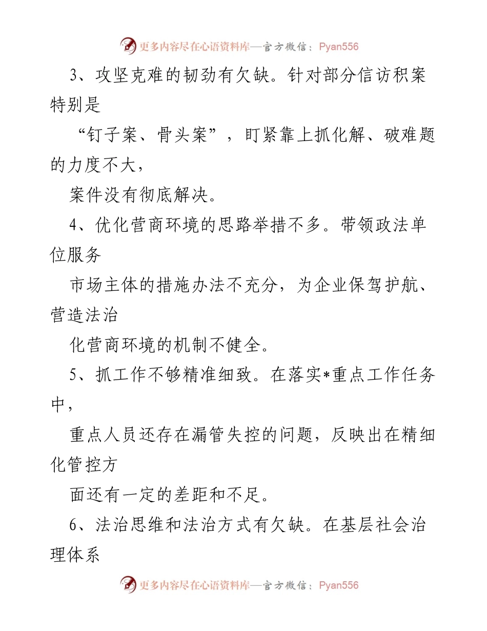 [工作总结] 巡视巡察整改民主生活会 - 政法委巡视整改意见汇总与反思.docx_第2页