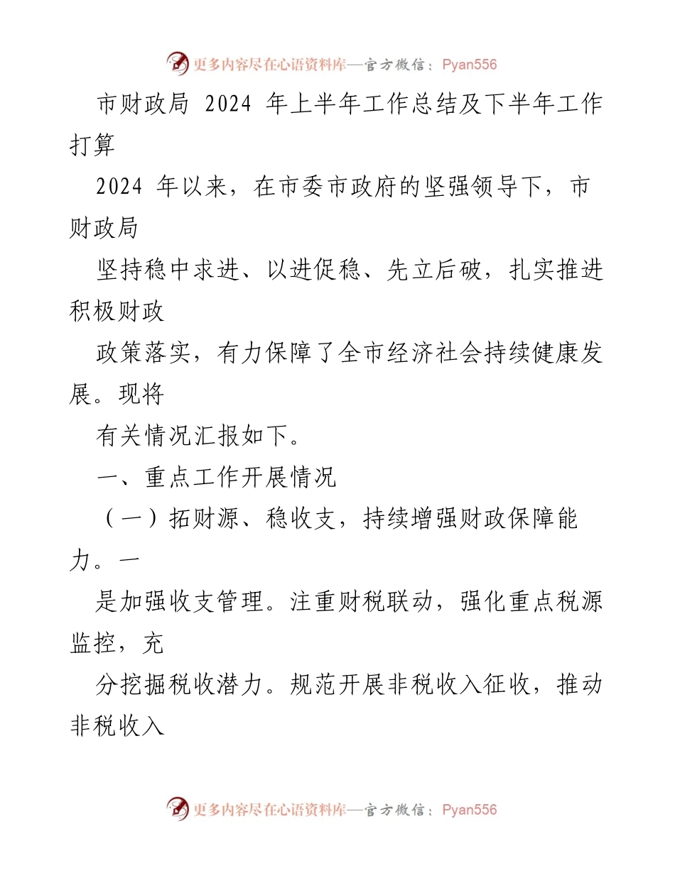 [工作总结] 市财政局 - 2024年上半年工作总结及下半年工作计划.docx_第1页