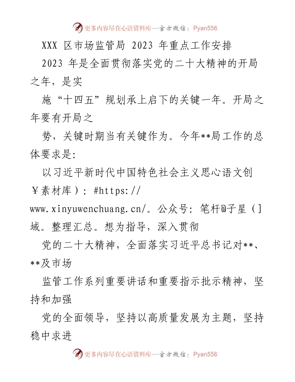 [工作总结] 市场监管局 - 2023 年重点工作安排与实施方案.docx_第1页