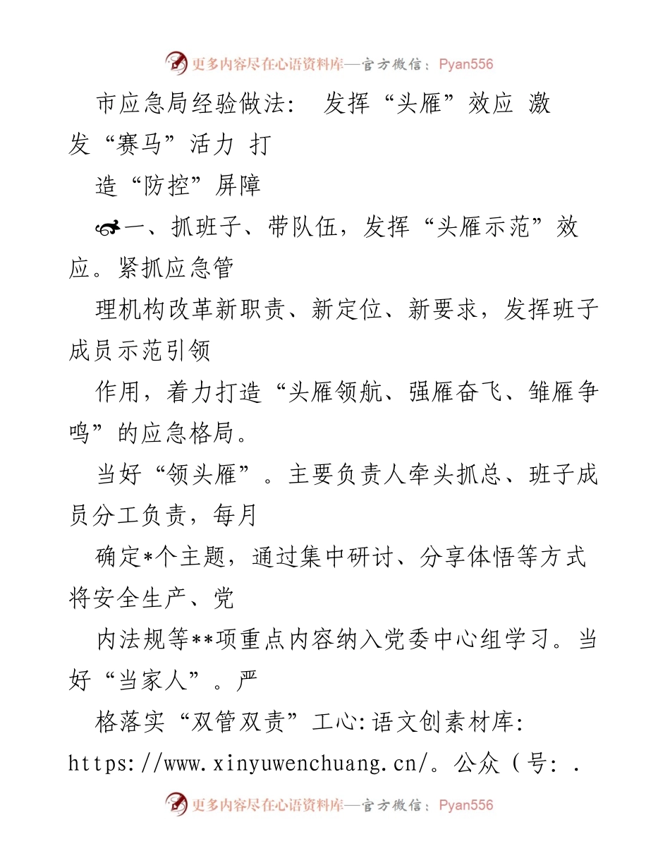 [工作总结] 市应急局 - 发挥“头雁”效应，激发“赛马”活力，构建应急防控新机制.docx_第1页