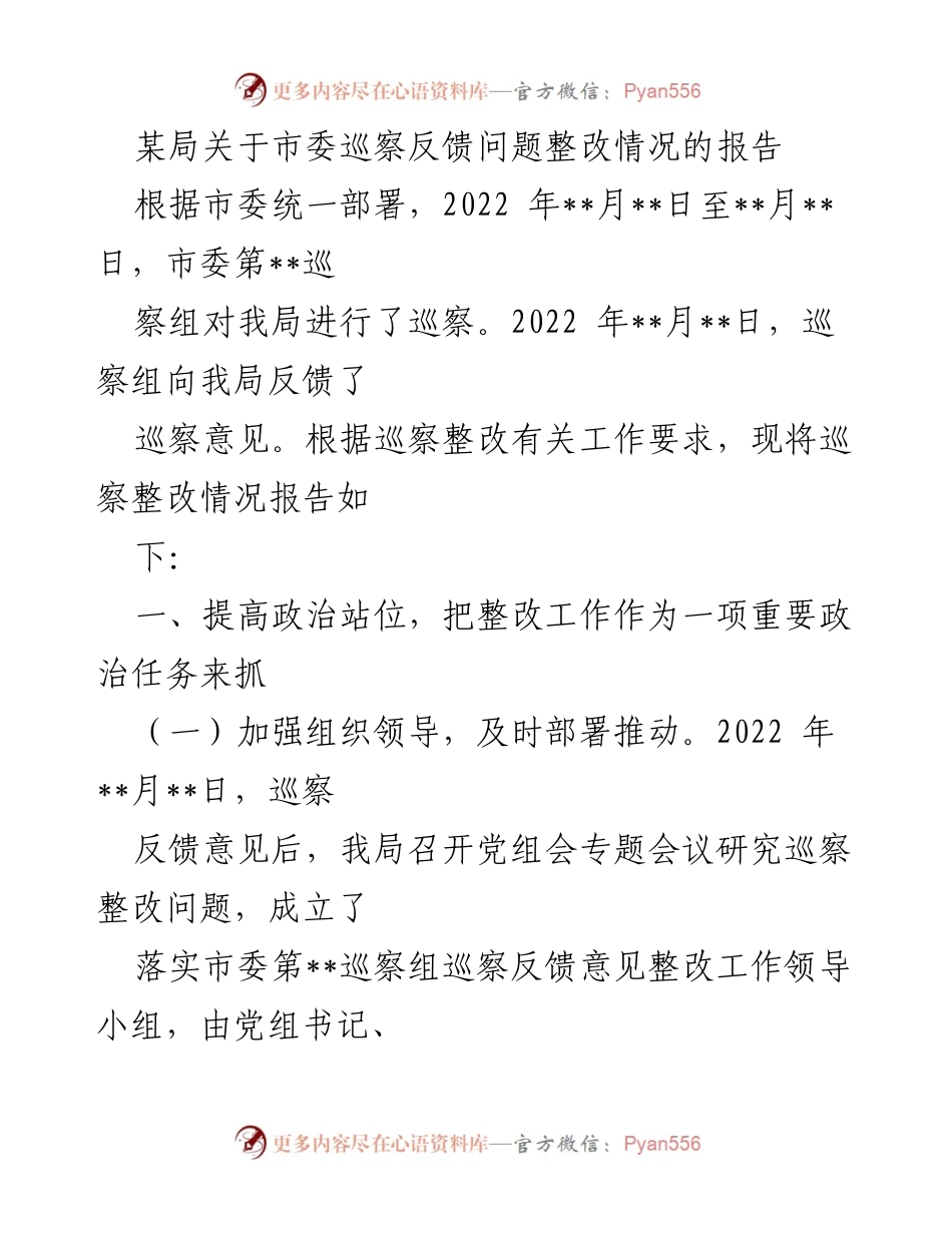 [工作总结] 巡察整改 - 某局市委巡察反馈问题整改情况报告_1.docx_第1页