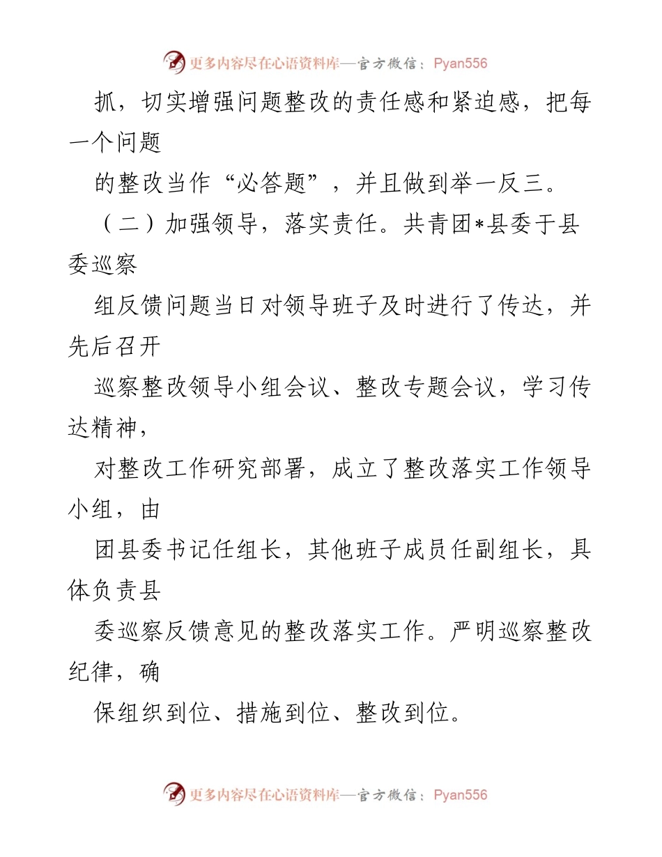 [工作总结] 巡察整改 - XX团县委巡察整改进展情况报告.docx_第2页