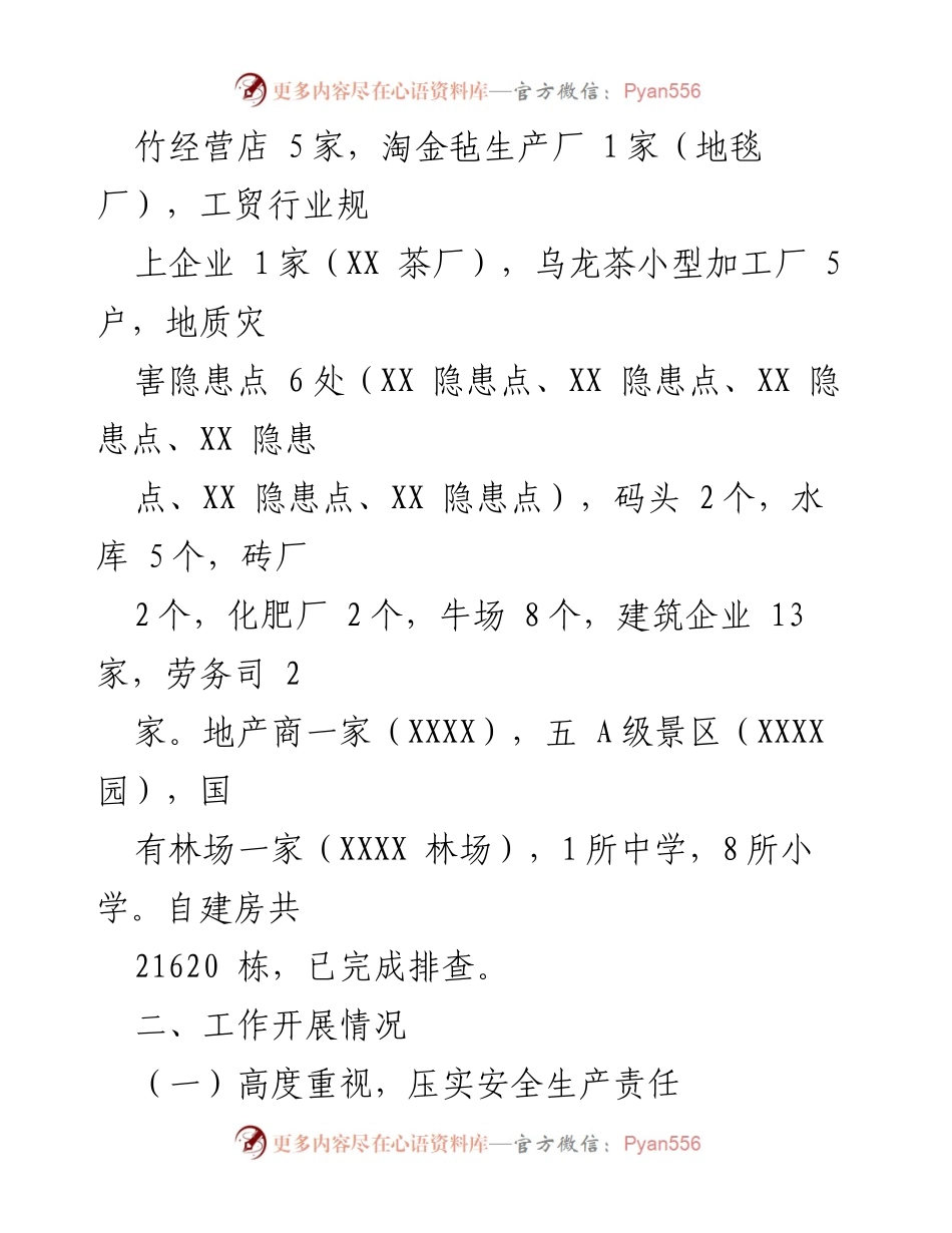 [工作总结] 安全生产工作 - XX乡安全生产工作开展情况汇报.docx_第2页