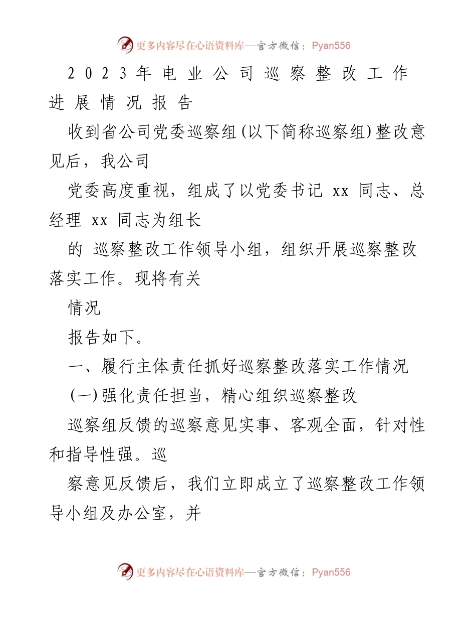 [工作总结] 巡察整改 - 2023年电业公司巡察整改工作进展情况报告.docx_第1页