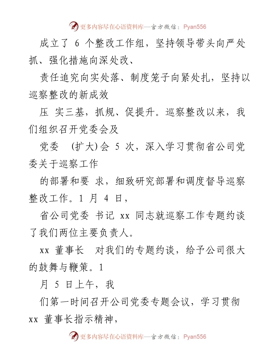 [工作总结] 巡察整改 - 2023年电业公司巡察整改工作进展情况报告.docx_第2页