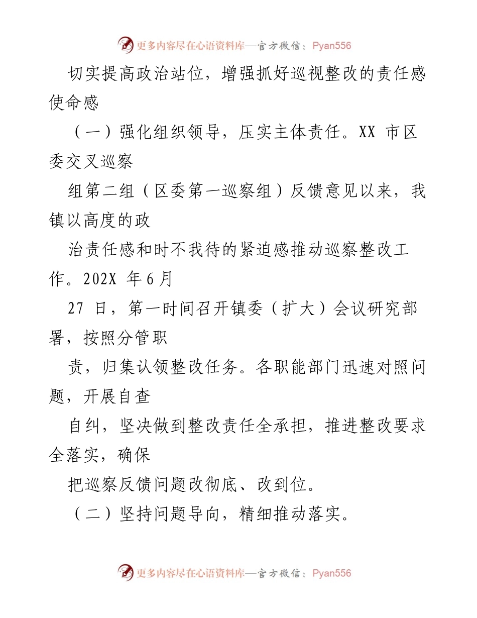[工作总结] 巡察整改 - XX镇巡察整改阶段性进展情况报告.docx_第2页