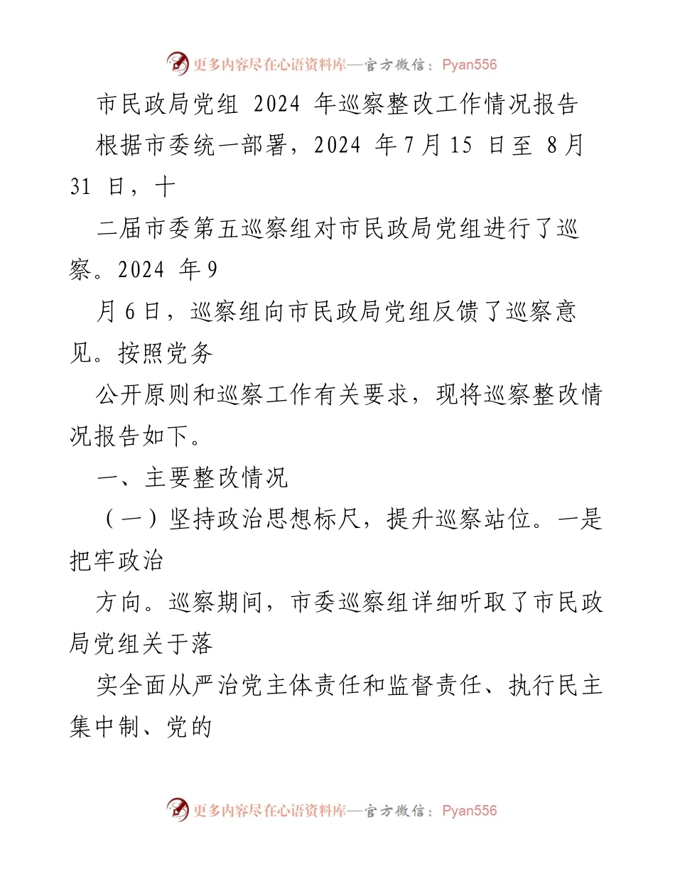 [工作总结] 市民政局 - 2024年巡察整改工作情况报告.docx_第1页