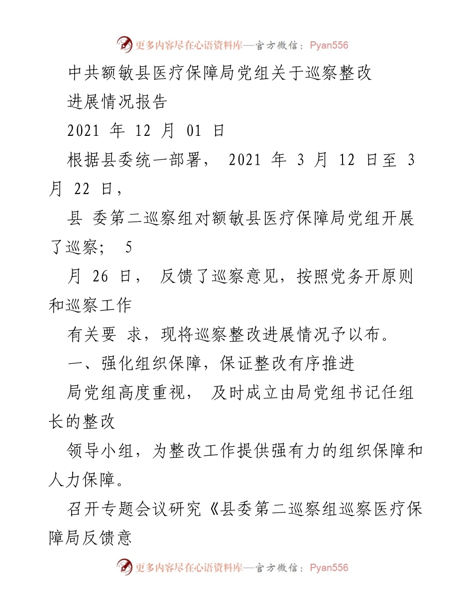 [工作总结] 巡察整改 - 额敏县医疗保障局巡察整改进展情况报告.docx_第1页
