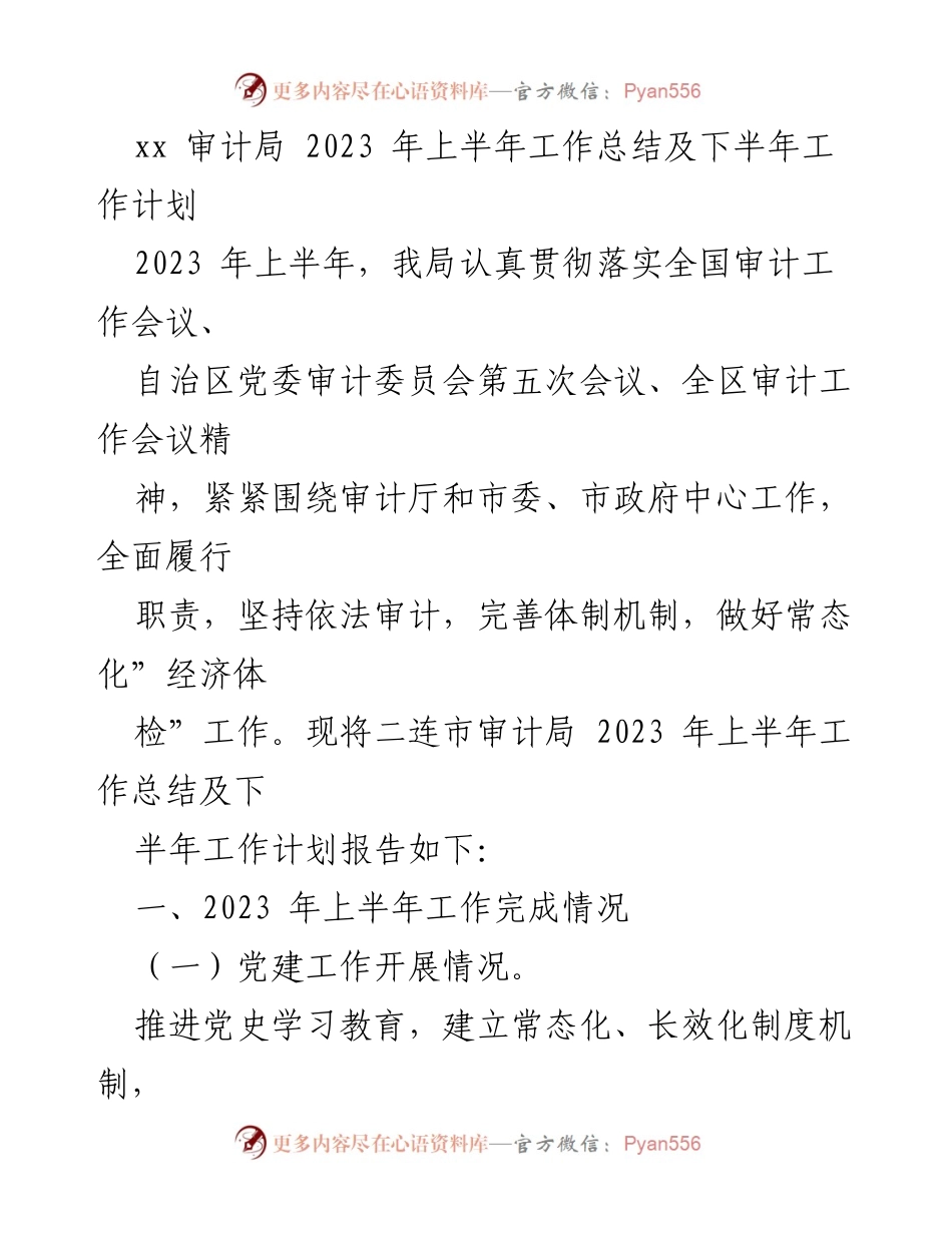 [工作总结] 审计局 - 2023年上半年工作总结及下半年工作计划_3.docx_第1页