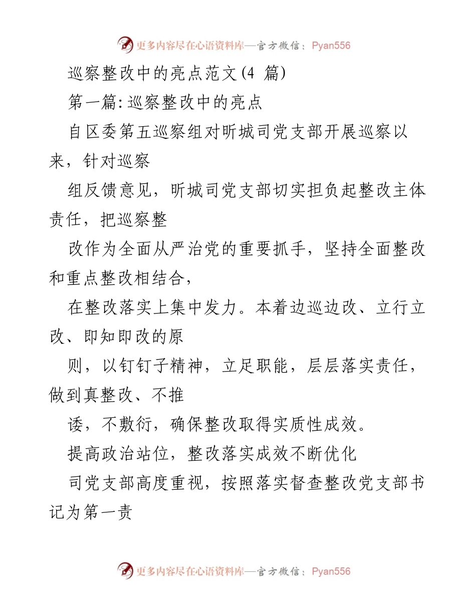 [工作总结] 巡察整改 - 昕城司党支部巡察整改工作总结与亮点.docx_第1页