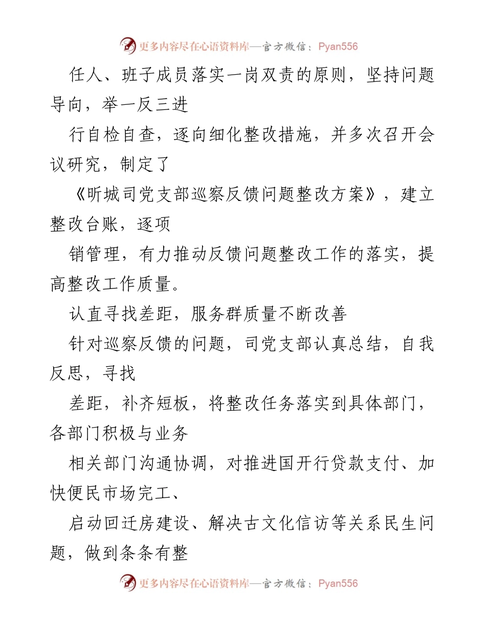 [工作总结] 巡察整改 - 昕城司党支部巡察整改工作总结与亮点.docx_第2页