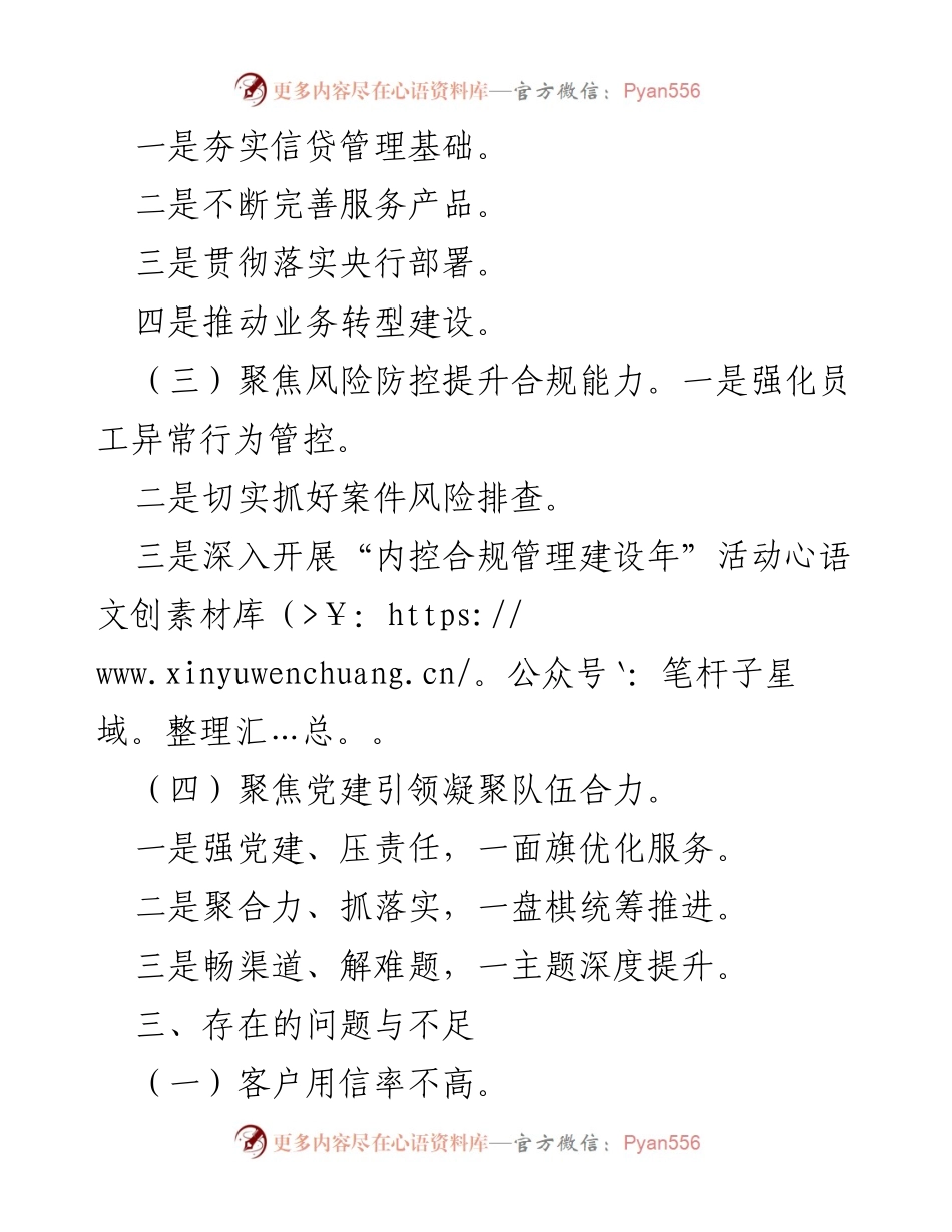 [工作总结] 年度总结 - XX农商银行2024年上半年工作成效与下半年计划.docx_第2页