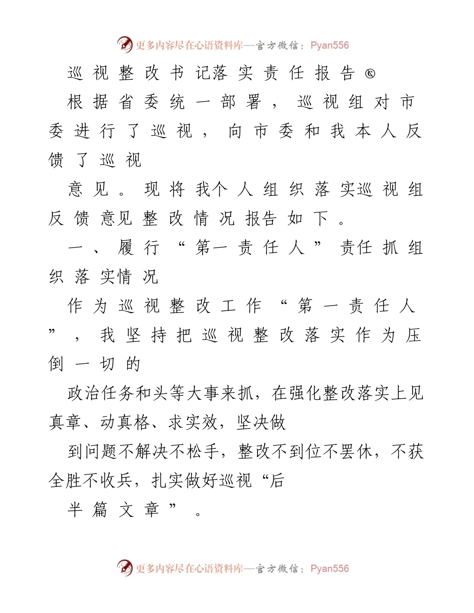 [工作总结] 巡视整改 - 巡视整改落实责任报告.docx_第1页