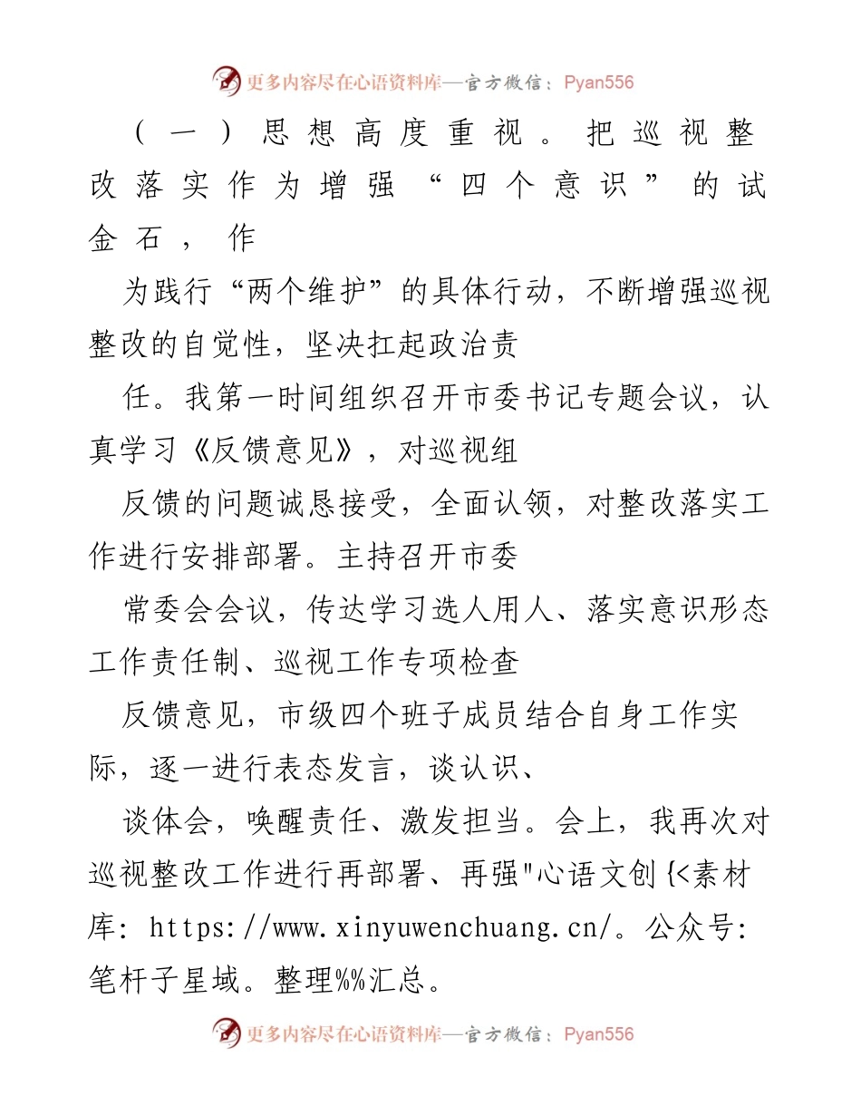 [工作总结] 巡视整改 - 巡视整改落实责任报告.docx_第2页