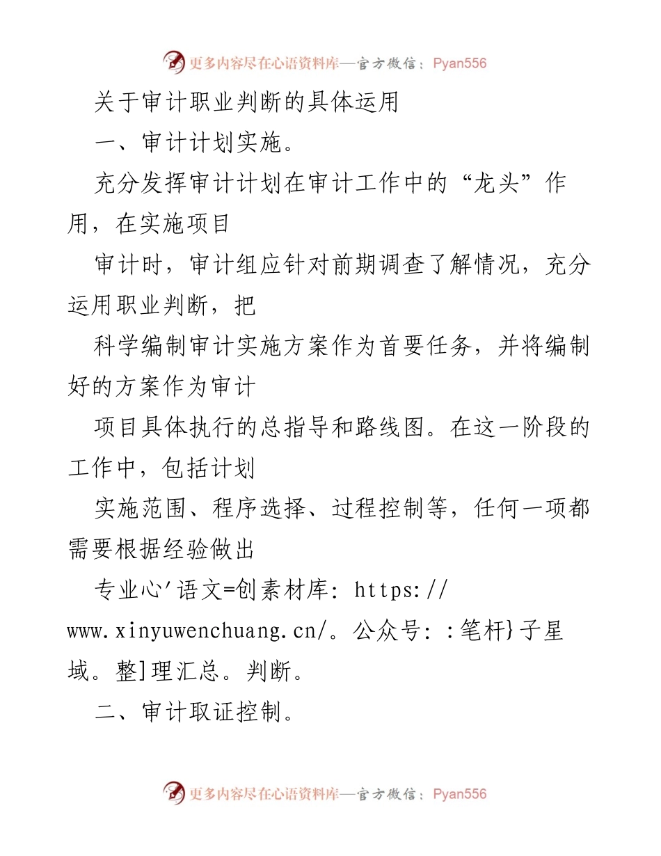[工作总结] 审计工作 - 审计职业判断的具体运用与实践.docx_第1页