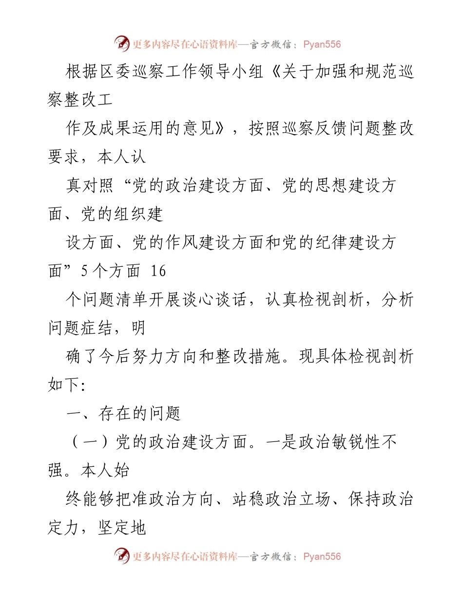 [工作总结] 巡察整改 - 巡察整改工作自查与问题剖析报告.docx_第1页