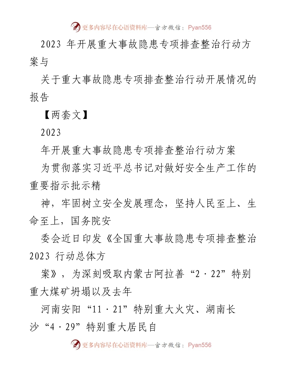 [工作总结] 安全生产 - 2023年重大事故隐患专项排查整治行动总结报告_1.docx_第1页
