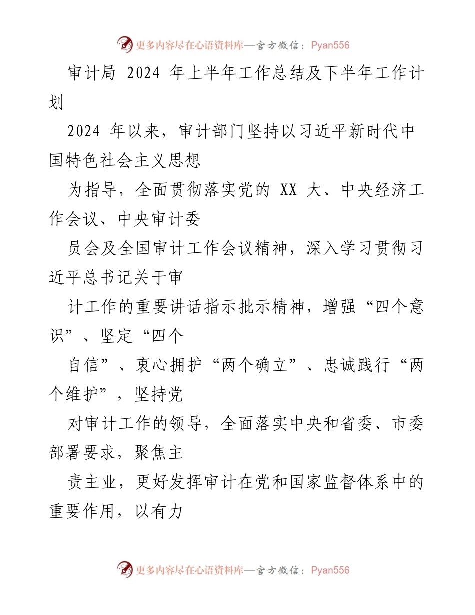 [工作总结] 审计局 - 2024年上半年工作总结与下半年工作计划.docx_第1页