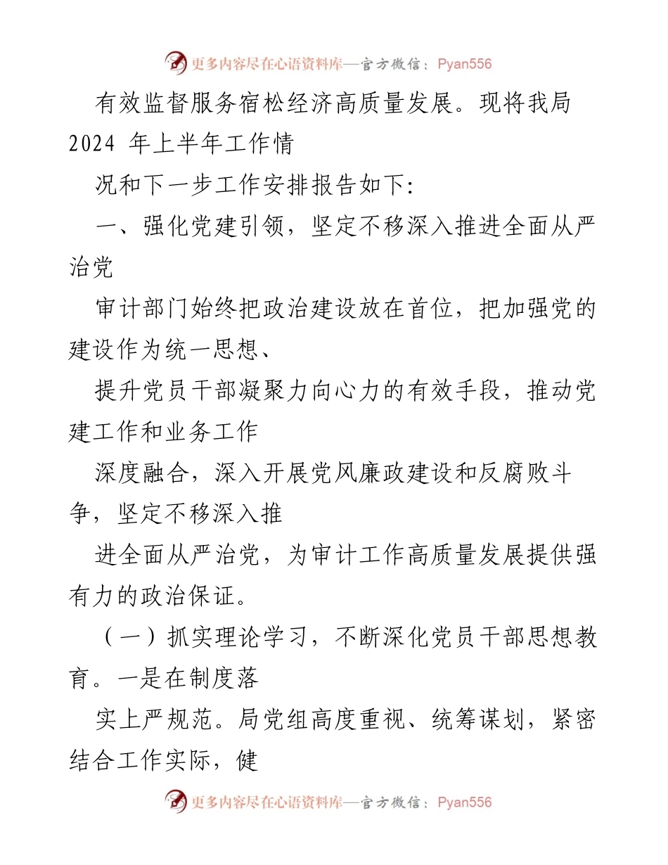 [工作总结] 审计局 - 2024年上半年工作总结与下半年工作计划.docx_第2页