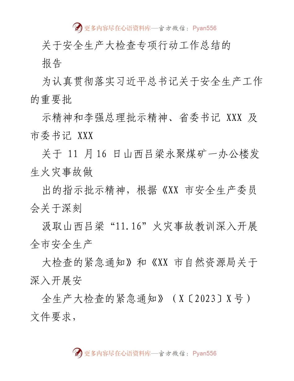 [工作总结] 安全生产大检查 - 安全生产大检查专项行动工作总结报告.docx_第1页