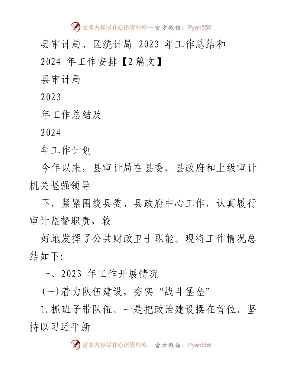 [工作总结] 审计局与统计局 - 2023年工作总结及2024年工作计划.docx_第1页