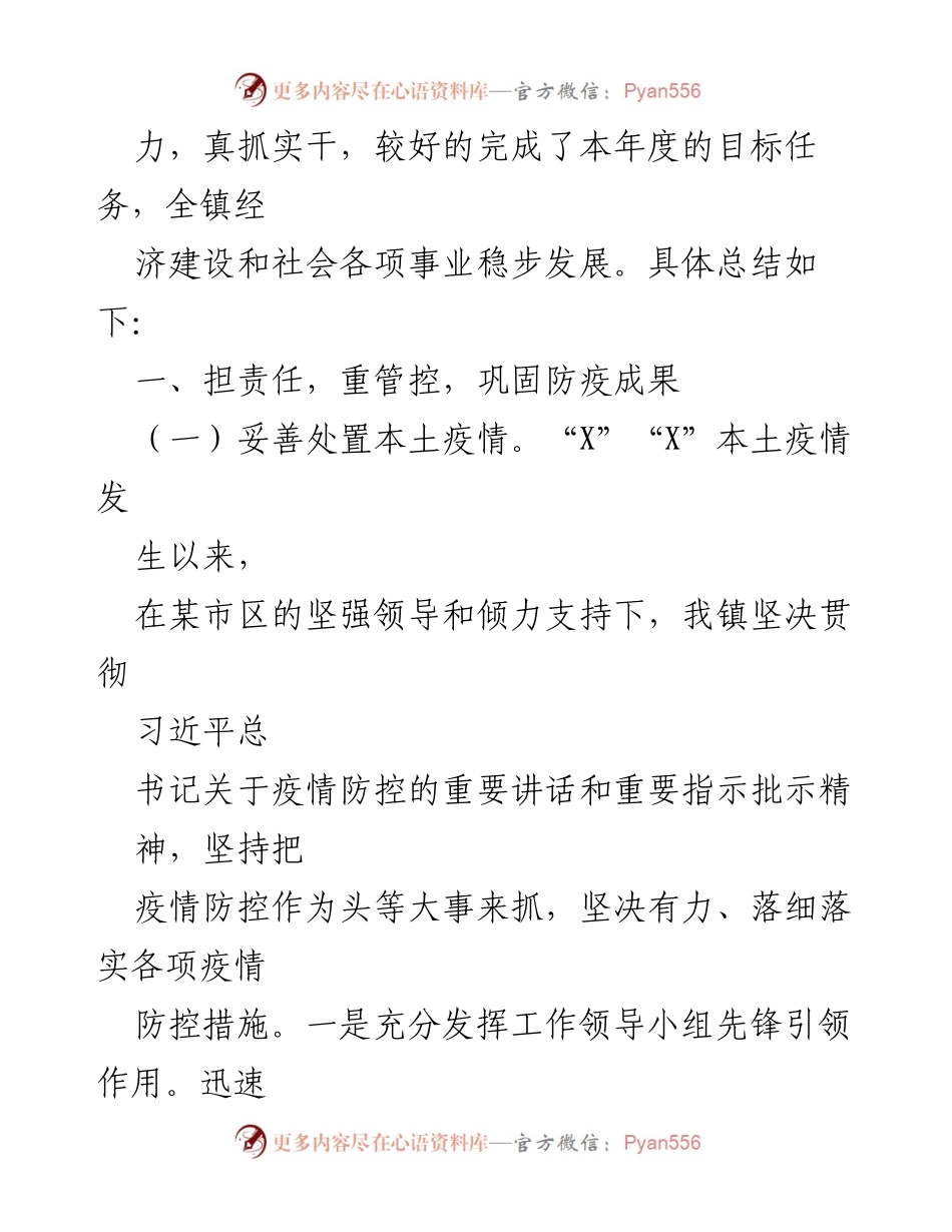 [工作总结] 年度总结 - XXX 镇 2022 年工作总结及 2023 年工作计划_1.docx_第2页