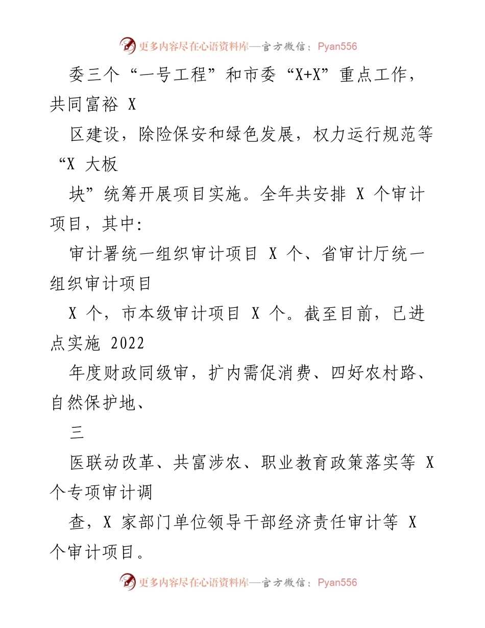 [工作总结] 审计局上半年工作 - 2023年上半年X某市审计局工作总结报告.docx_第2页