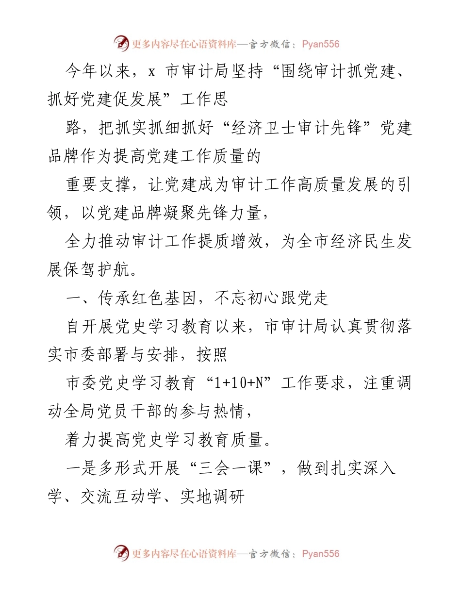 [工作总结] 审计局党建工作 - 党建引领审计提升，服务民生发展.docx_第1页