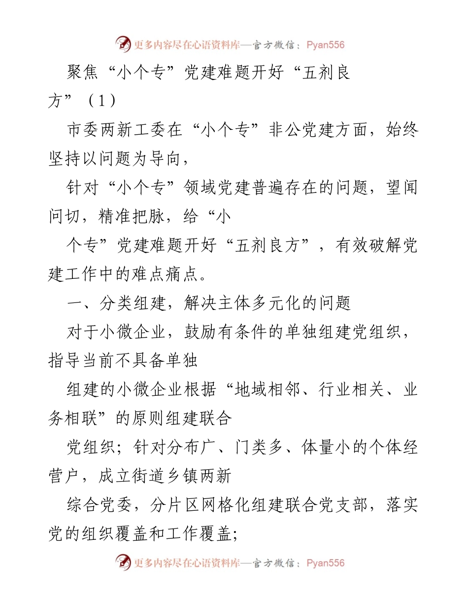 [工作总结] 小个专非公党建工作 - 聚焦小个专党建难题的五剂良方.docx_第1页