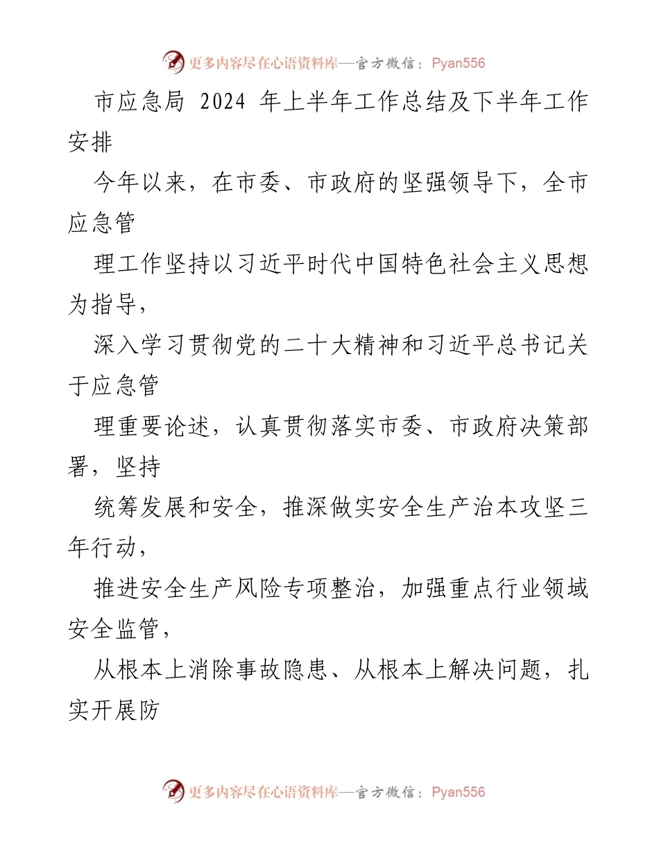 [工作总结] 市应急局 - 2024年上半年工作总结与下半年工作安排.docx_第1页