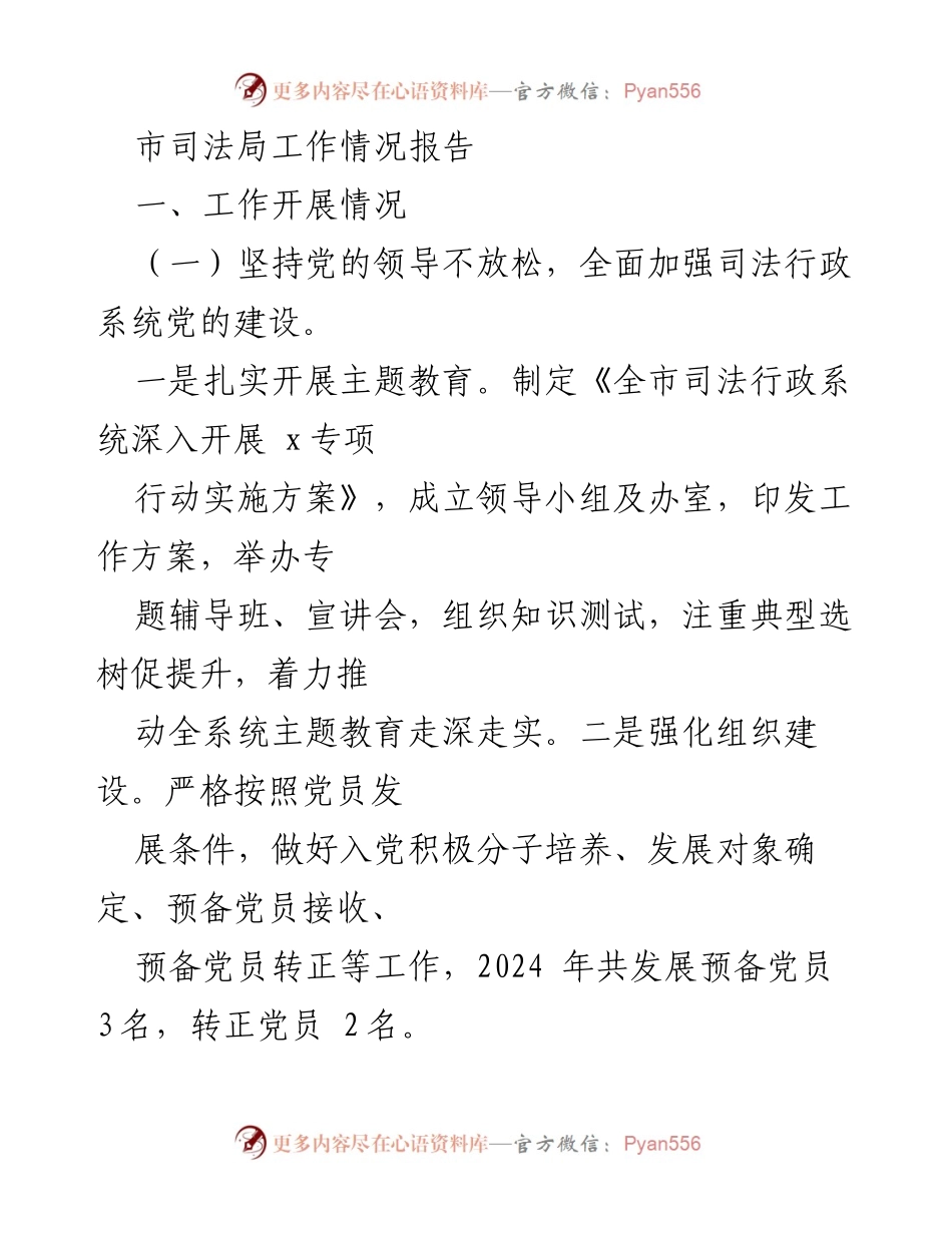 [工作总结] 市司法局 - 2024年度市司法局工作情况报告.docx_第1页