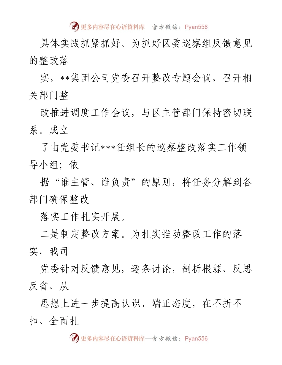 [工作总结] 巡察整改 - 市国企公司党委巡察整改进展情况报告.docx_第2页
