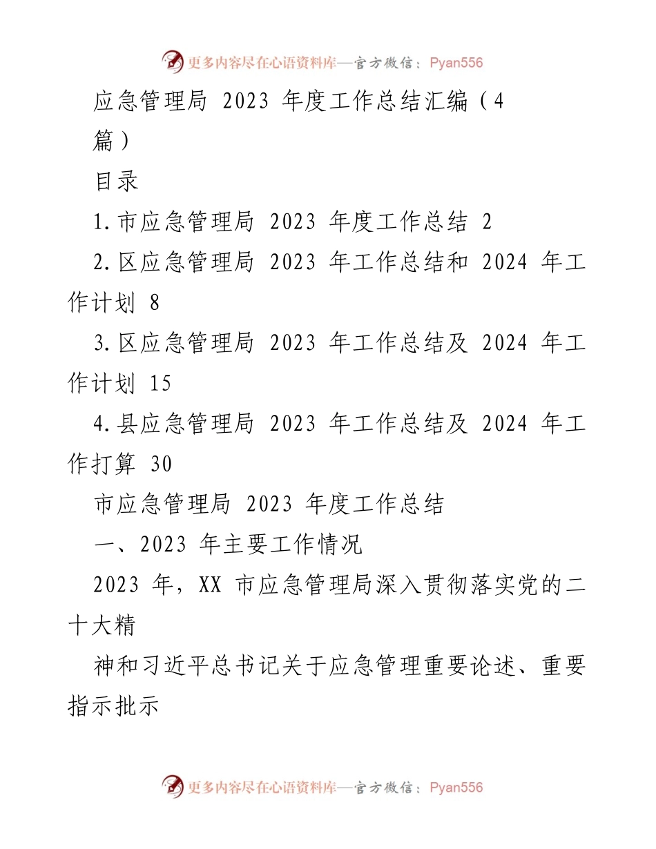 [工作总结] 年度工作总结 - 2023年度市应急管理局工作总结与成效分析.docx_第1页