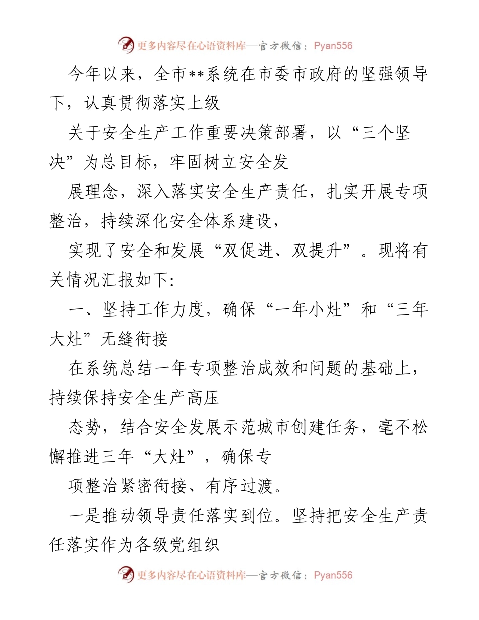 [工作总结] 安全生产工作会议 - 全市安全生产工作总结与专项整治进展报告.docx_第1页