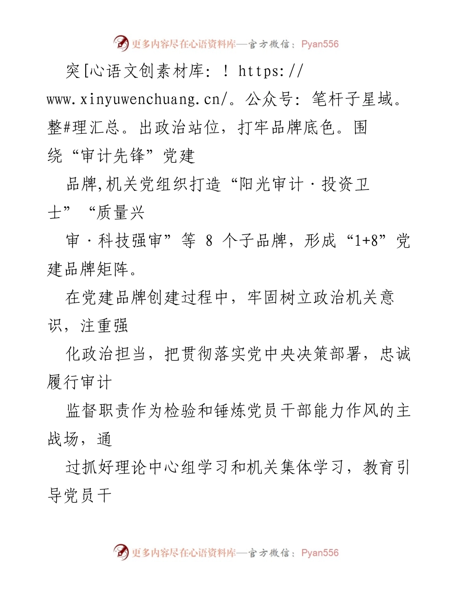 [工作总结] 审计局 - 某市审计局特色党建品牌创建实践与成效.docx_第2页