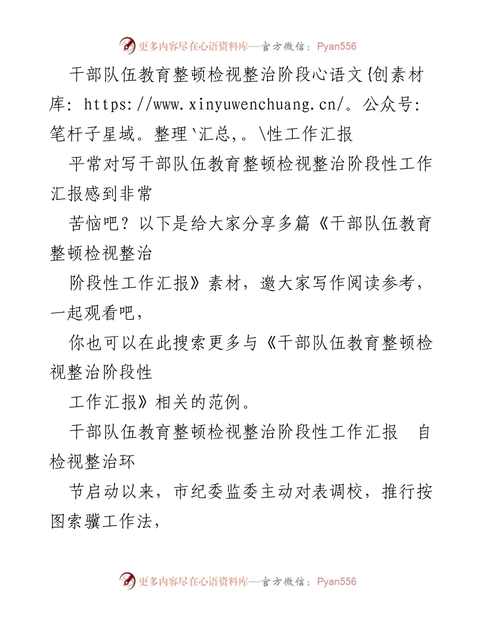 [工作总结] 干部队伍教育整顿 - 干部队伍教育整顿检视整治阶段性工作汇报.docx_第1页