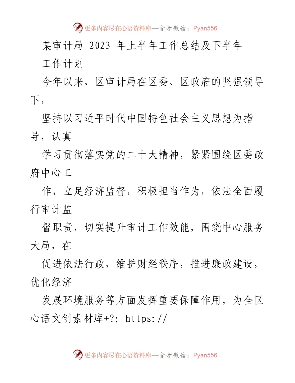 [工作总结] 审计局 - 2023年上半年工作总结及下半年工作计划_4.docx_第1页