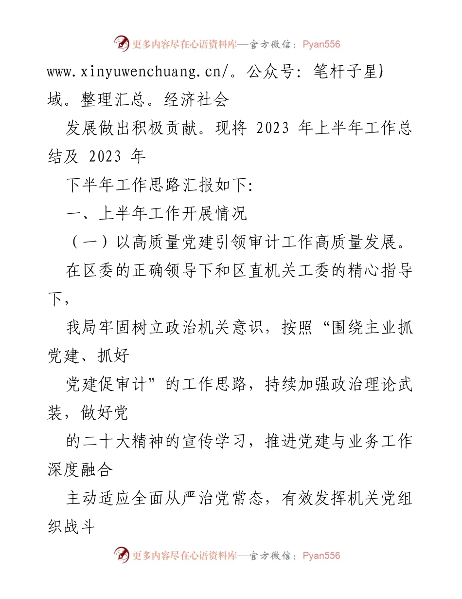 [工作总结] 审计局 - 2023年上半年工作总结及下半年工作计划_4.docx_第2页